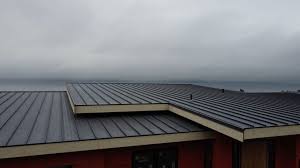 Professional Roofing Services in Las Maravillas, NM